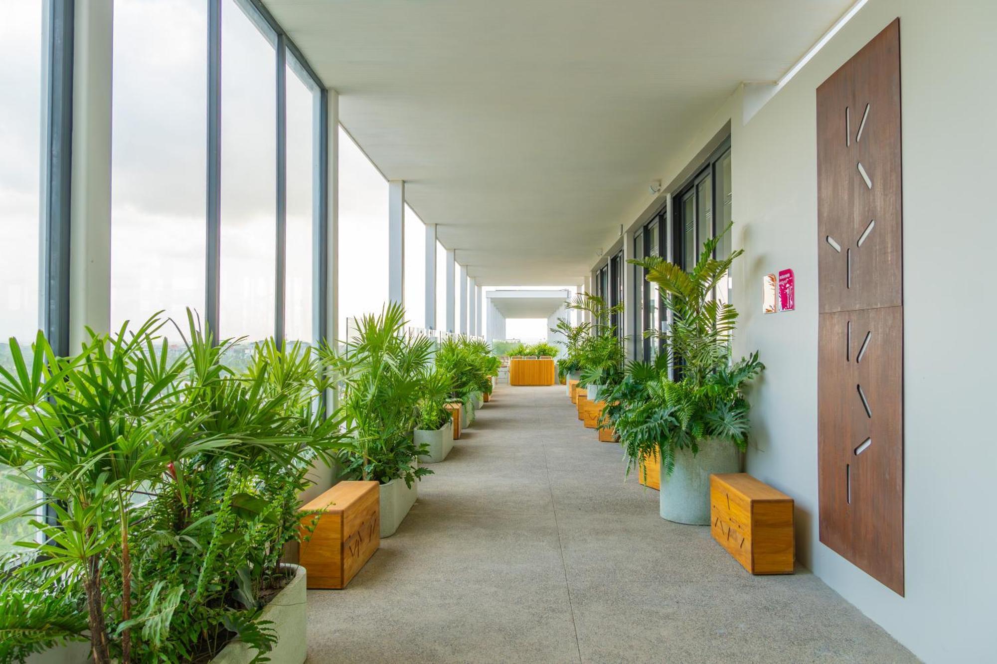 Hotel Mio Riviera Nayarit Unique & Different Adults Only Нуэво-Вальярта Экстерьер фото